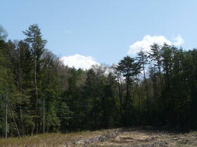 山梨県南都留郡鳴沢村−