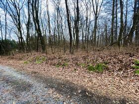 群馬県吾妻郡長野原町大字北軽井沢