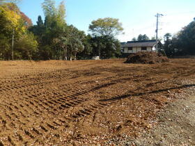 千葉県八街市小谷流