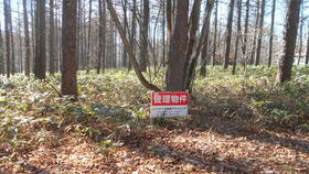 長野県上田市菅平高原