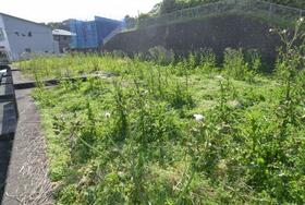 茨城県常陸太田市天神林町