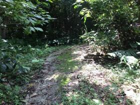 沖縄県国頭郡今帰仁村字謝名