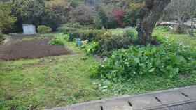 大分県別府市大字南立石