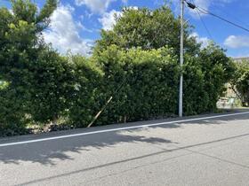 静岡県御前崎市池新田