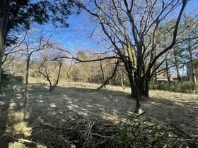 神奈川県足柄下郡箱根町仙石原