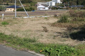 鹿児島県鹿屋市海道町