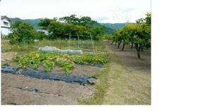 愛知県豊橋市嵩山町字荒木