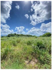 沖縄県国頭郡今帰仁村字古宇利