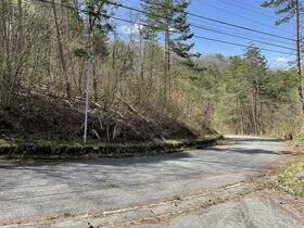 岐阜県高山市朝日町西洞