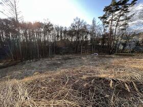 山梨県北杜市大泉町西井出