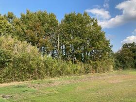 大分県中津市三光諌山