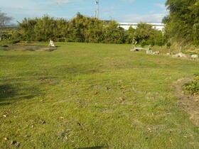 宮崎県東諸県郡国富町大字森永