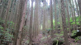 愛知県岡崎市千万町町字大入