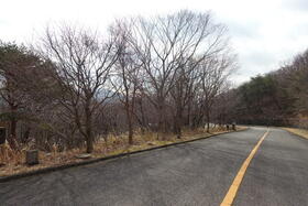 大分県由布市湯布院町川北