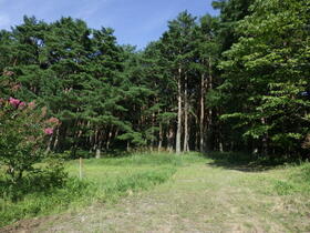 山梨県南都留郡富士河口湖町大石