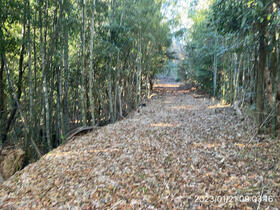 愛知県豊田市上脇町小梅