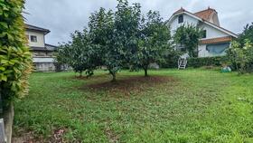 山梨県南アルプス市野牛島