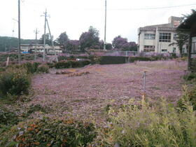 群馬県吾妻郡嬬恋村大字三原