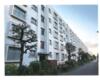 多摩川住宅ハ－１９号棟 2階 築59年10ヶ月の賃貸物件