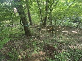 山梨県南都留郡忍野村忍草