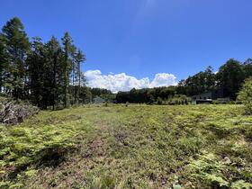 山梨県北杜市大泉町西井出