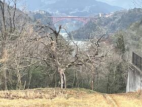 岐阜県中津川市千旦林