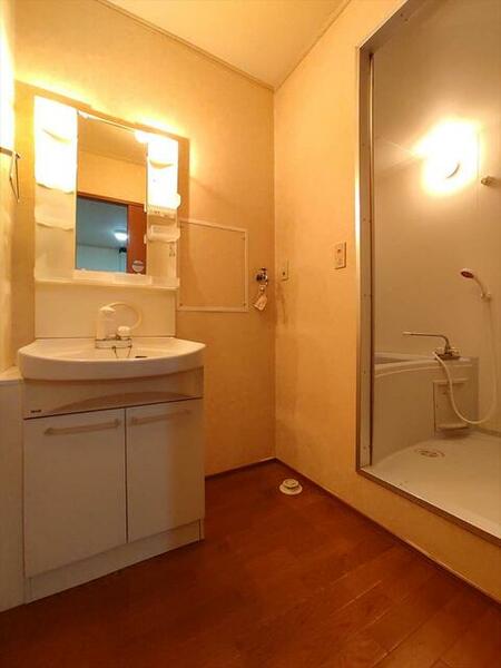 画像9:ゆとりのある洗面室（＾＾）（写真は別のお部屋です。）
