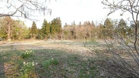 青森県青森市大字雲谷字山吹