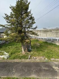 熊本県八代市植柳新町１丁目