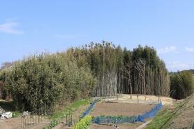 千葉県館山市上真倉