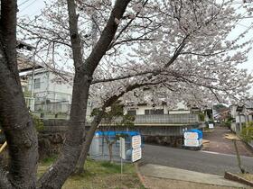香川県さぬき市志度