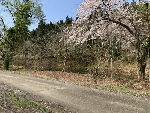 Land, Uonuma, Niigata