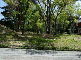 静岡県伊東市八幡野