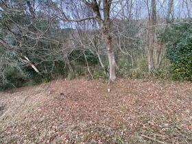 静岡県富士宮市大岩