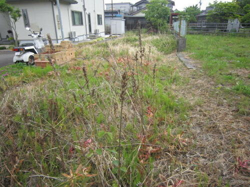 Land, Tateyama Town, Toyama