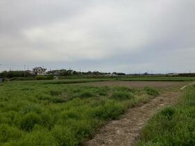 茨城県筑西市一本松