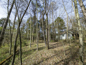 長野県北佐久郡軽井沢町大字長倉東原