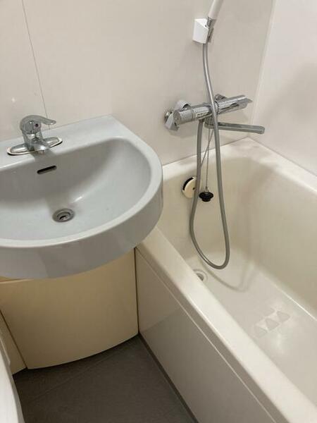 画像12:三点ユニットタイプ（トイレ、洗面、シャワー・水栓付き浴槽）