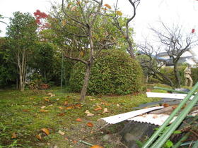 福岡県久留米市善導寺町与田