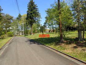 群馬県利根郡昭和村大字川額