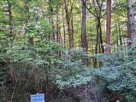 長野県諏訪郡富士見町立沢広原