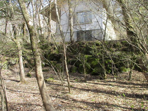 Land, Yamanakako Village, Yamanashi