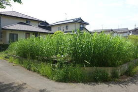 茨城県古河市三和