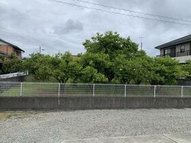 徳島県阿南市才見町三本松