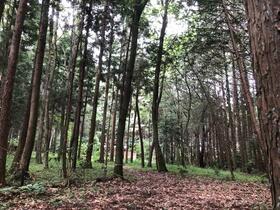 茨城県笠間市笠間