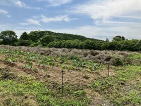 佐賀県唐津市千々賀