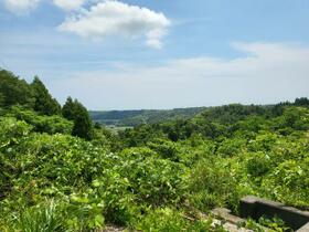 何もない贅沢  ｜ 福島県南相馬市原町区片倉字羽山（賃貸一戸建3LDK・--・111.79㎡） その2