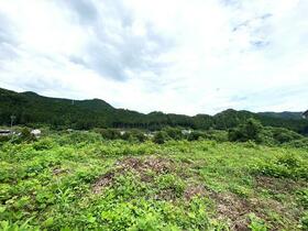 埼玉県飯能市大字唐竹