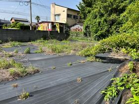 熊本県熊本市中央区渡鹿４丁目