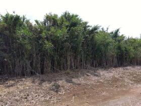 茨城県つくば市上郷